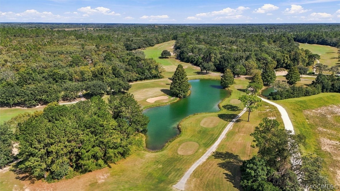 315 W Fairways View Drive, Beverly Hills, FL 34465