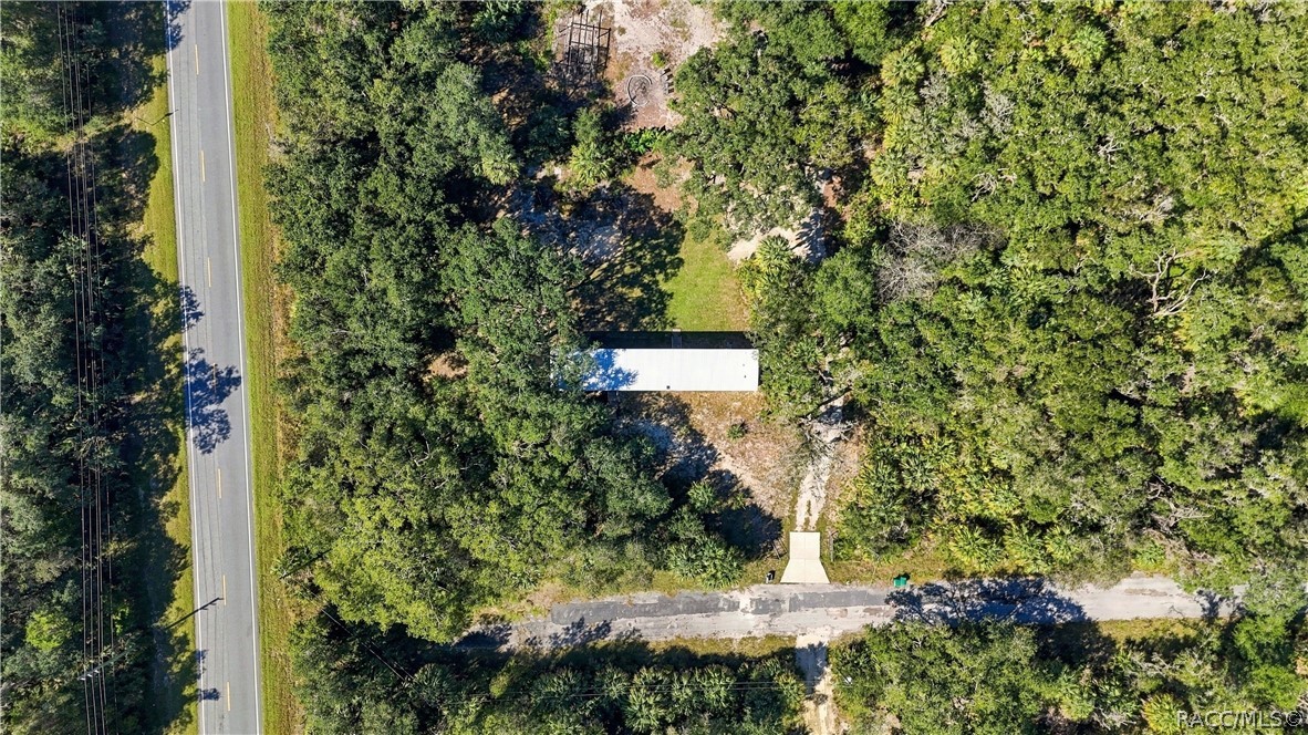 ROOM TO ENJOY THE OUTDOORS! This overhead aerial view highlights the home's setting among mature trees, open yard space & surrounding greenery.