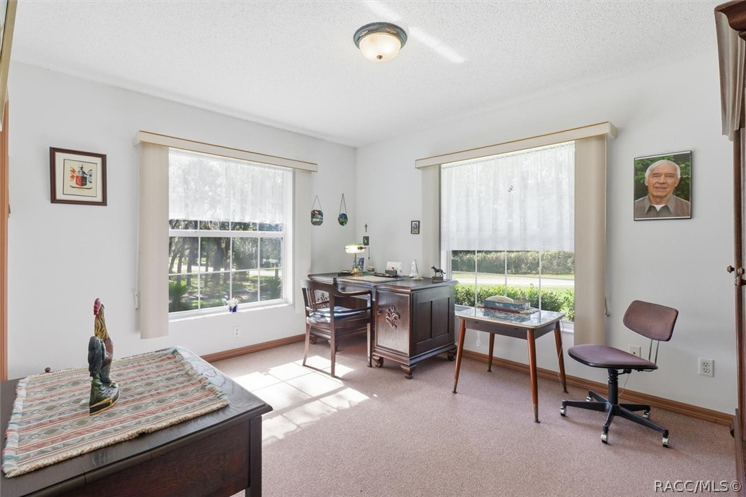 337 E Buckingham Drive, Lecanto, FL 34461