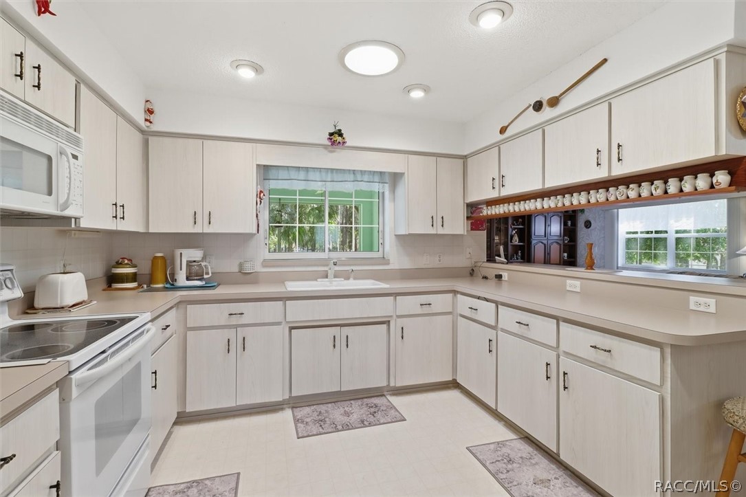 337 E Buckingham Drive, Lecanto, FL 34461