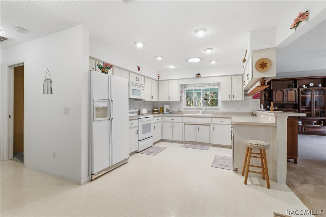 337 E Buckingham Drive, Lecanto, FL 34461