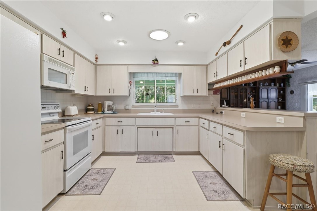 337 E Buckingham Drive, Lecanto, FL 34461