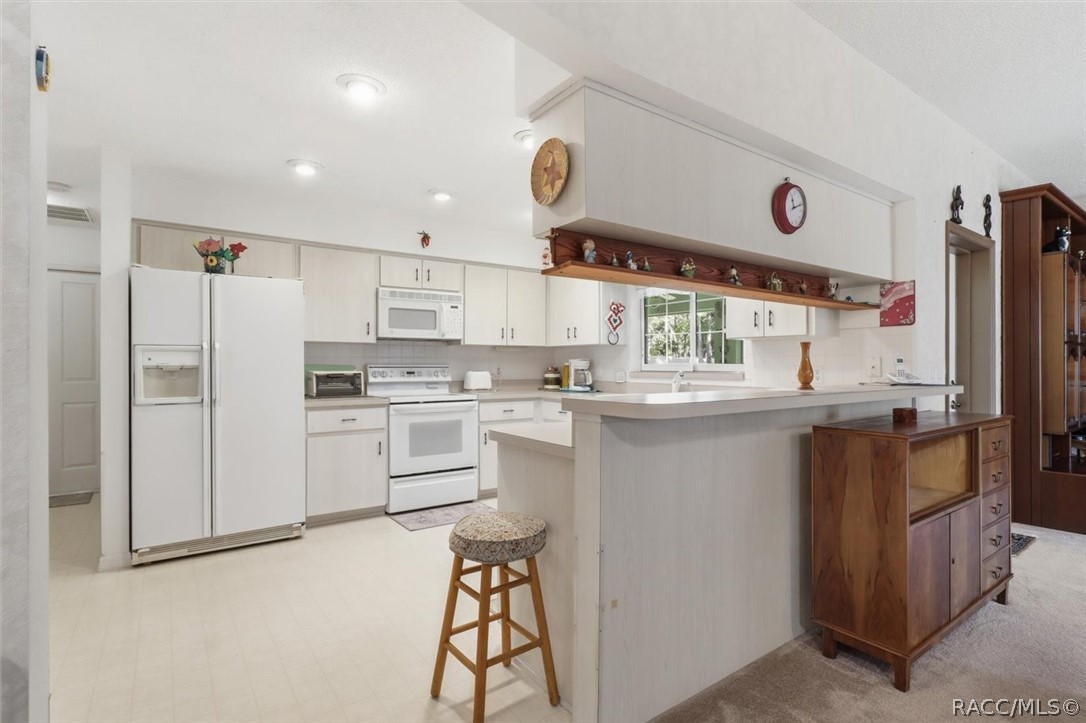 337 E Buckingham Drive, Lecanto, FL 34461