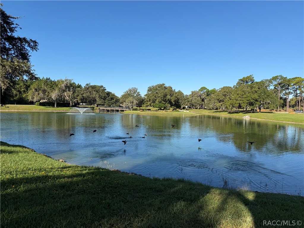 6282 W Lexington Drive, Crystal River, FL 34429