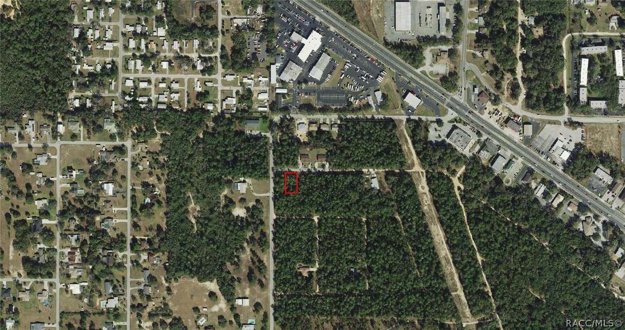3005 Clearwood Street, Inverness, FL 34452 3005 Clearwood Street, Inverness, FL 34452