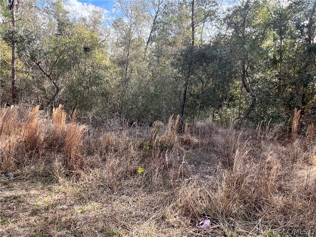 3005 Clearwood Street, Inverness, FL 34452 3005 Clearwood Street, Inverness, FL 34452