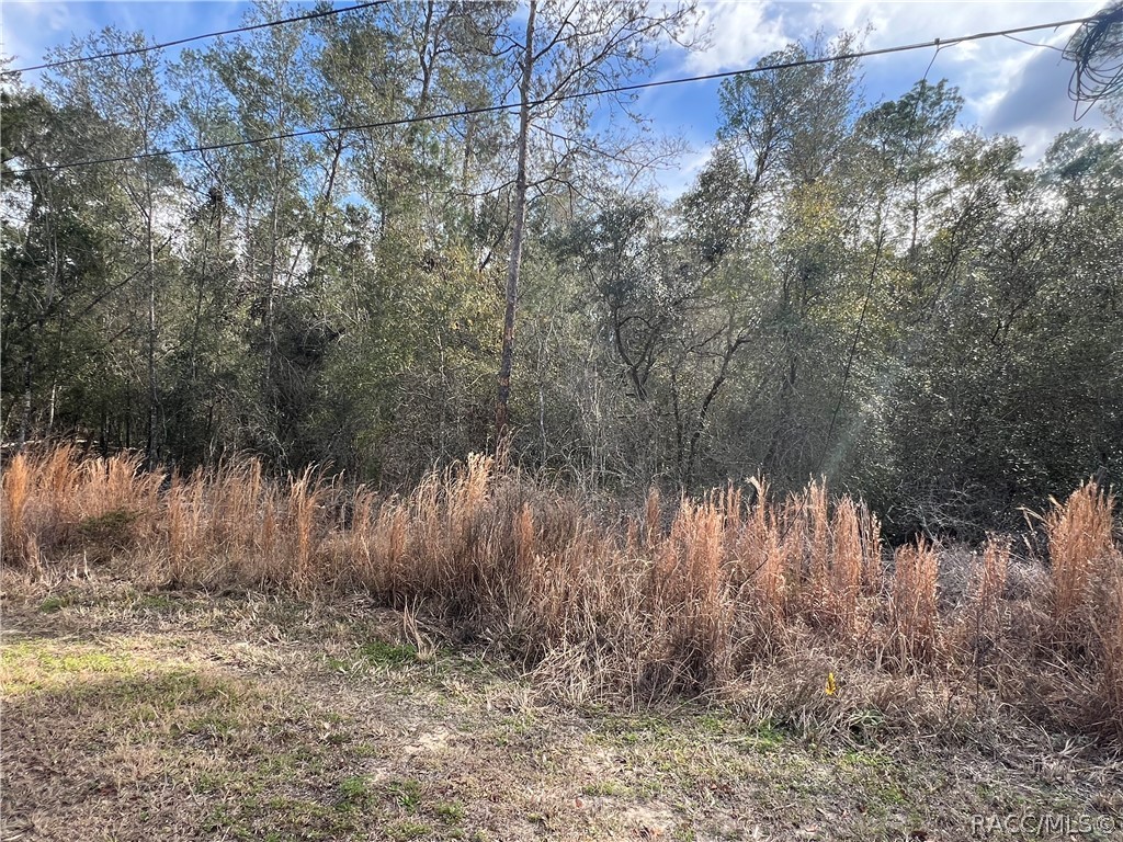 3005 Clearwood Street, Inverness, FL 34452