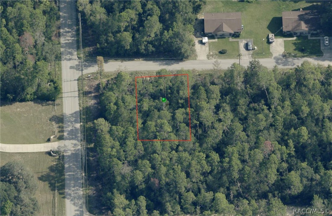 3005 Clearwood Street, Inverness, FL 34452 3005 Clearwood Street, Inverness, FL 34452