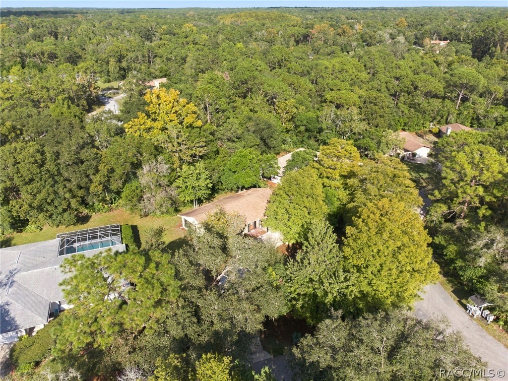 12 Sycamore Court E, Homosassa, FL 34446