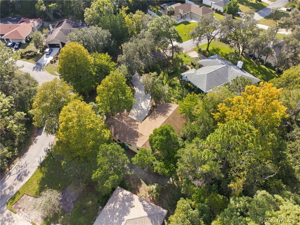 12 Sycamore Court E, Homosassa, FL 34446