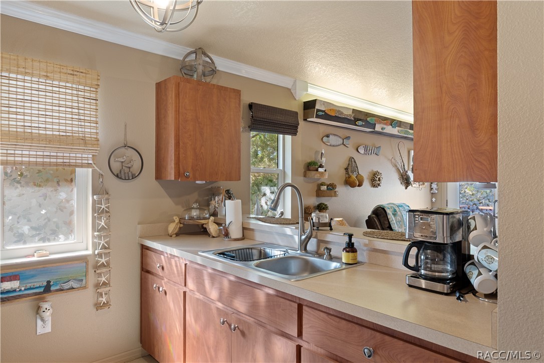 12009 W Gulf Breeze Court, Crystal River, FL 34429