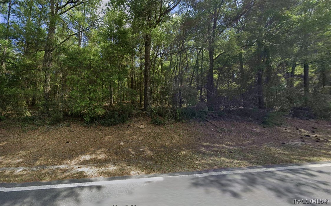 9721 N Citrus Springs Boulevard, Citrus Springs, FL 34434