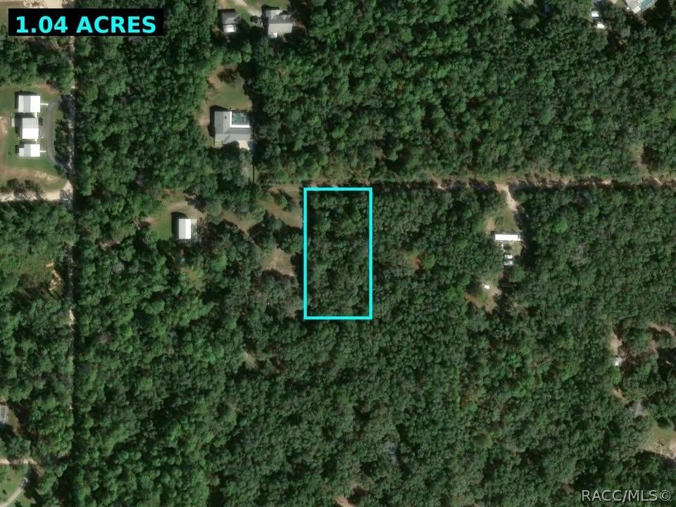 1434 W Milan Lane, Hernando, FL 34442