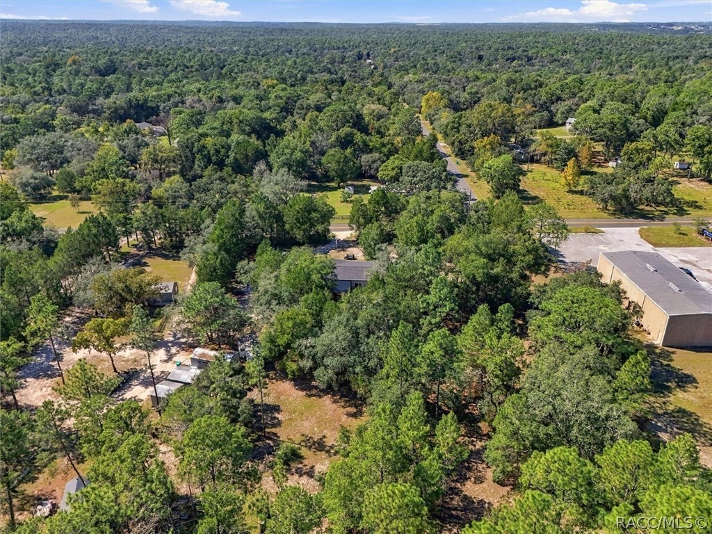 1255 S Bea Avenue, Inverness, FL 34452