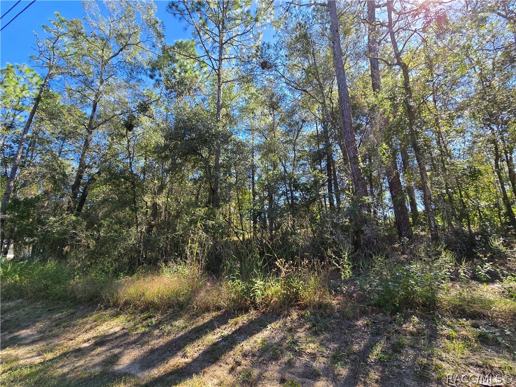 5210 E Anna Jo Drive, Inverness, FL 34452 5210 E Anna Jo Drive, Inverness, FL 34452