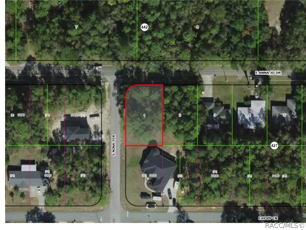 5210 E Anna Jo Drive, Inverness, FL 34452