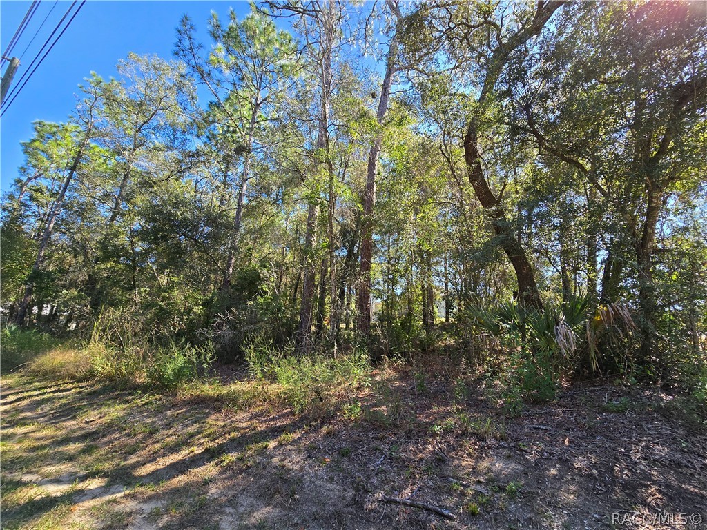 5210 E Anna Jo Drive, Inverness, FL 34452 5210 E Anna Jo Drive, Inverness, FL 34452