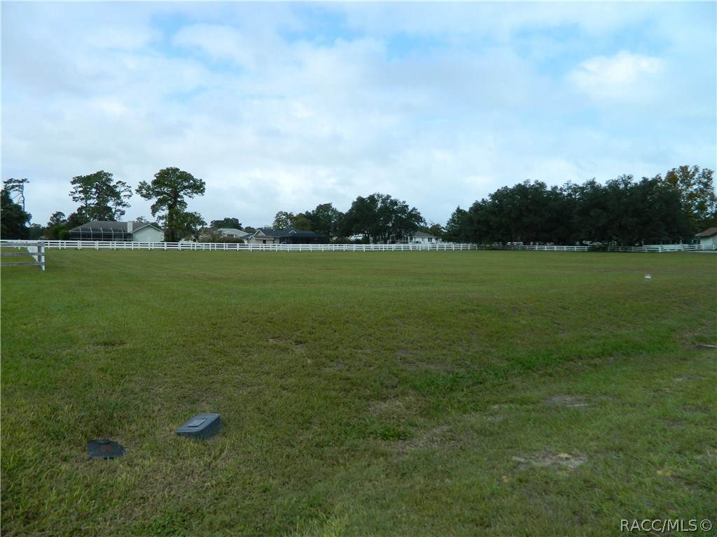 1308 N Spend A Buck Drive, Hernando, FL 34442