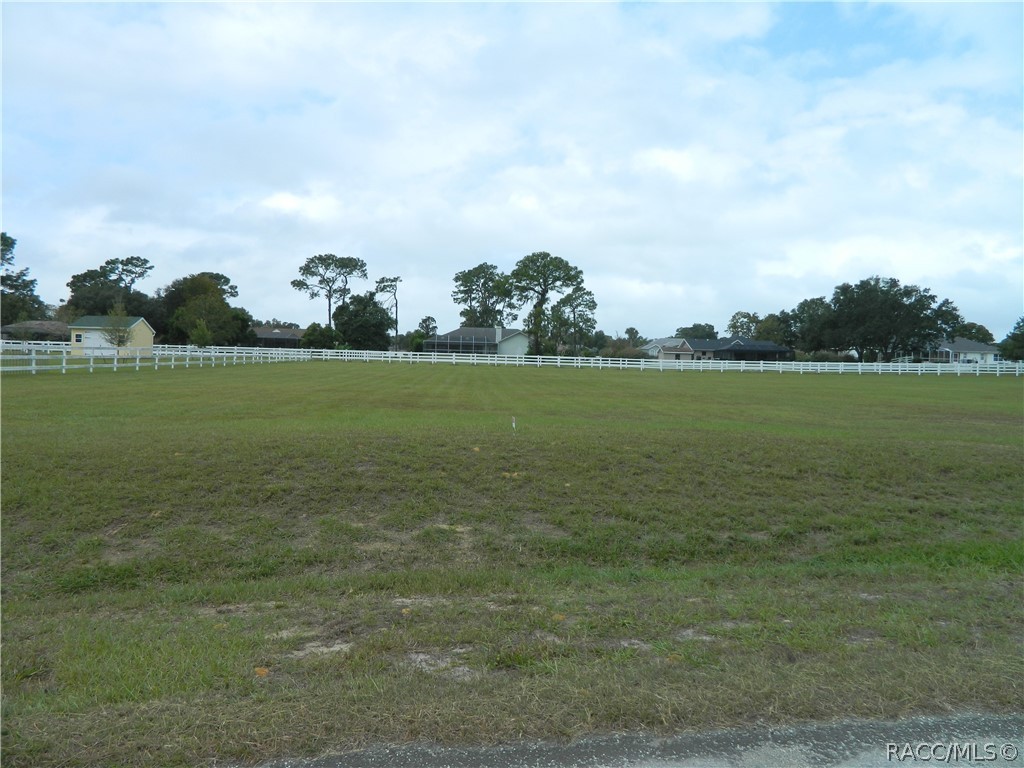 1308 N Spend A Buck Drive, Hernando, FL 34442