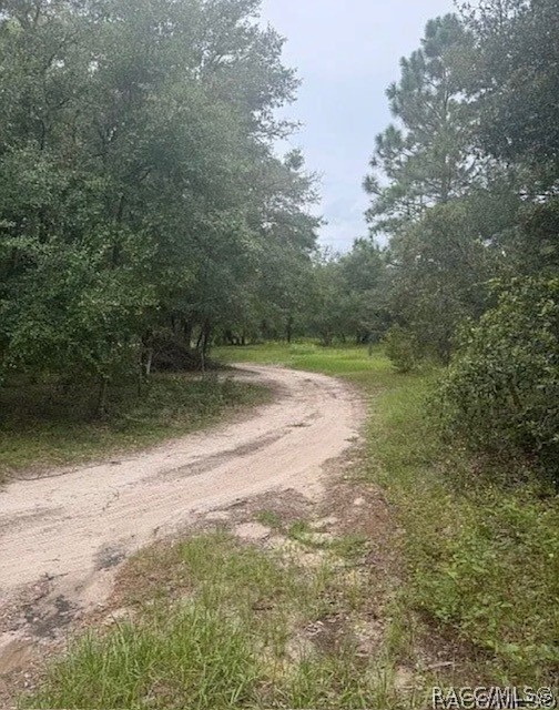 5551 SW 194th Avenue, Dunnellon, FL 34432