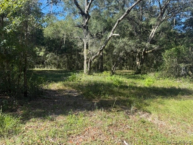 5551 SW 194th Avenue, Dunnellon, FL 34432