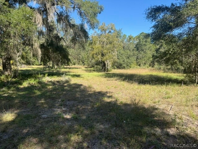 5551 SW 194th Avenue, Dunnellon, FL 34432
