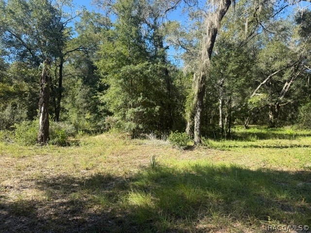 5551 SW 194th Avenue, Dunnellon, FL 34432