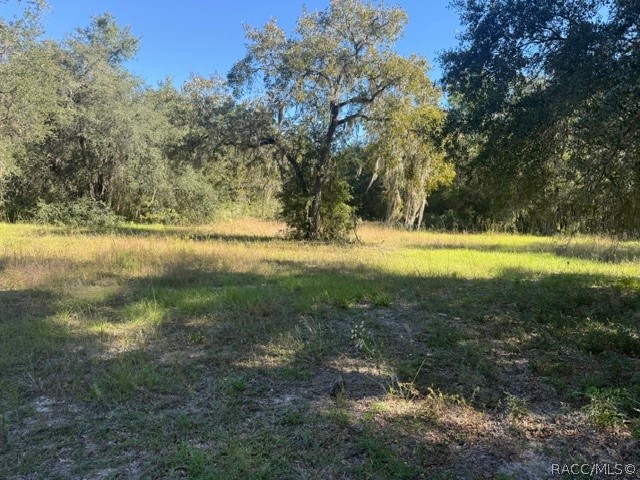 5551 SW 194th Avenue, Dunnellon, FL 34432