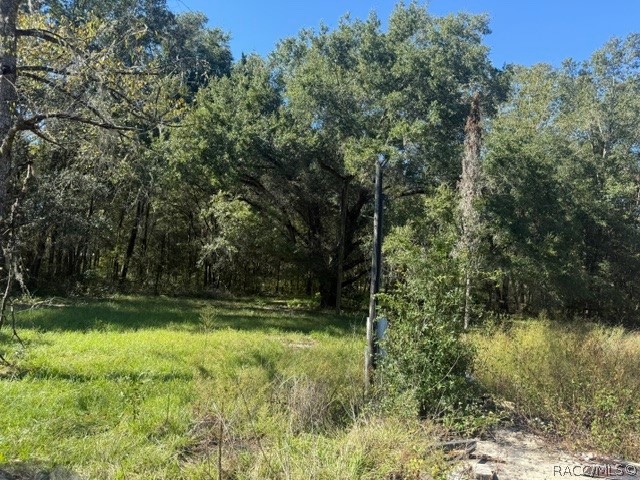 5551 SW 194th Avenue, Dunnellon, FL 34432