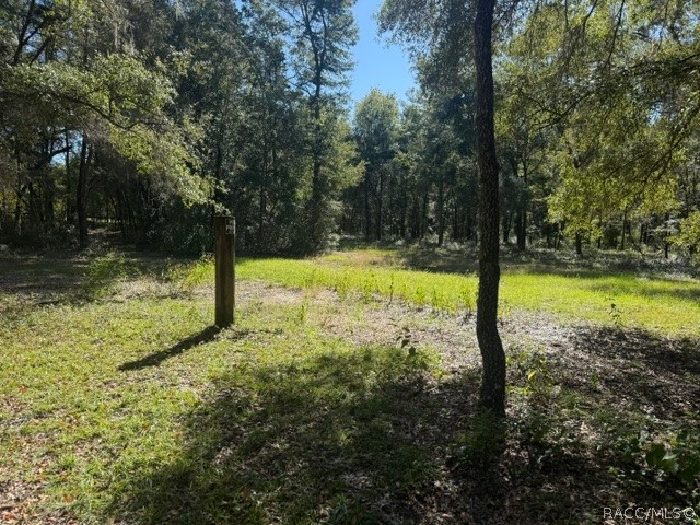 5551 SW 194th Avenue, Dunnellon, FL 34432
