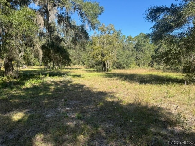 5551 SW 194th Avenue, Dunnellon, FL 34432