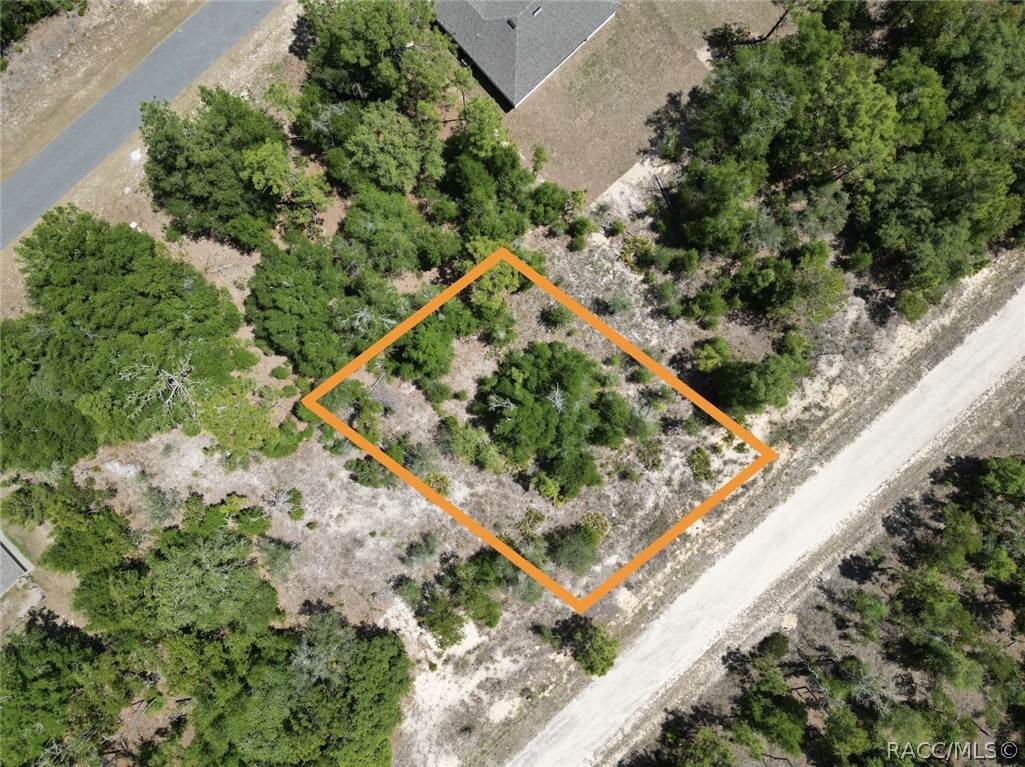 1547 W Pendleton Street, Citrus Springs, FL 34434