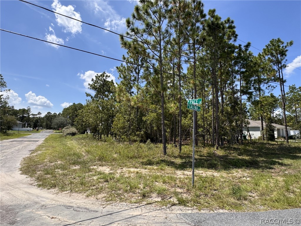 Corner of N Galena Ave and W Pace Ln Corner of N Galena Ave and W Pace Ln