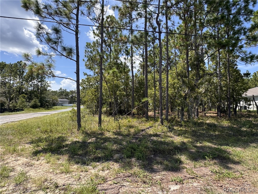 Wooded homesite with mature pines