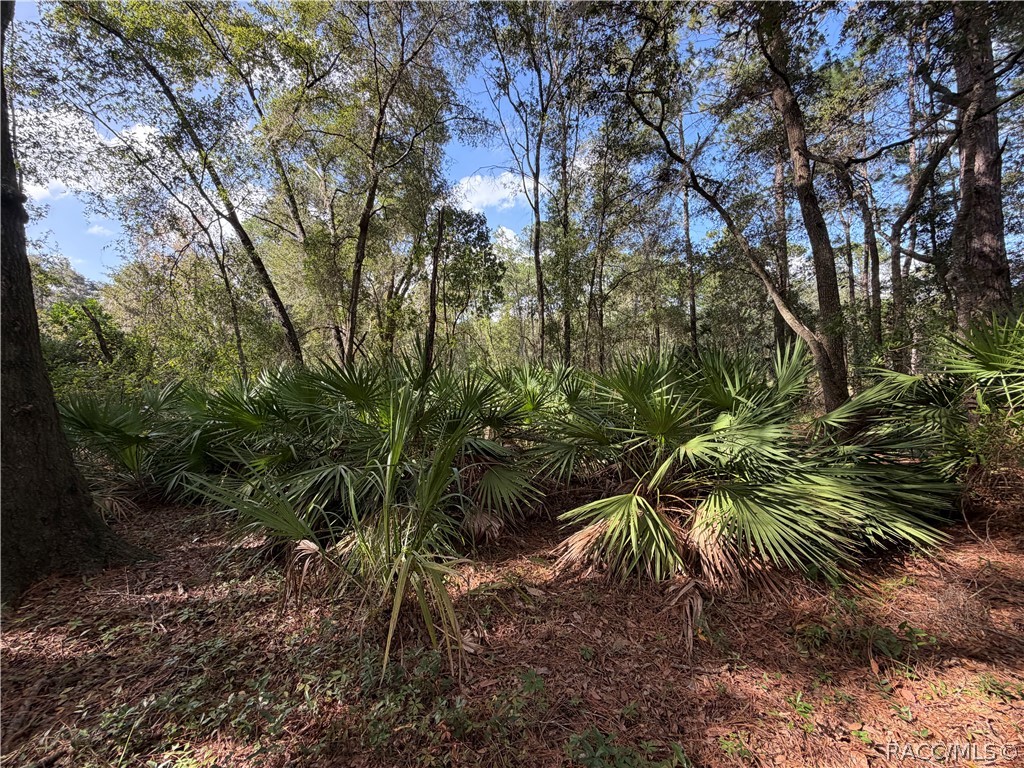 0 SW Shorewood Drive, Dunnellon, FL 34431