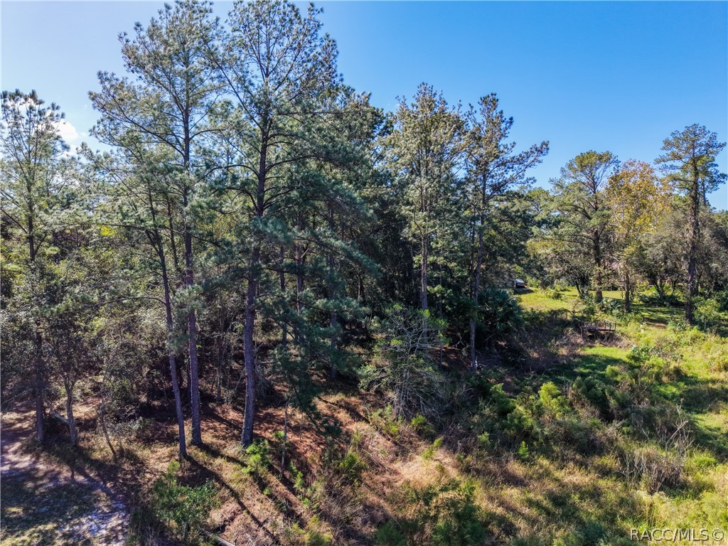 0 SW Shorewood Drive, Dunnellon, FL 34431