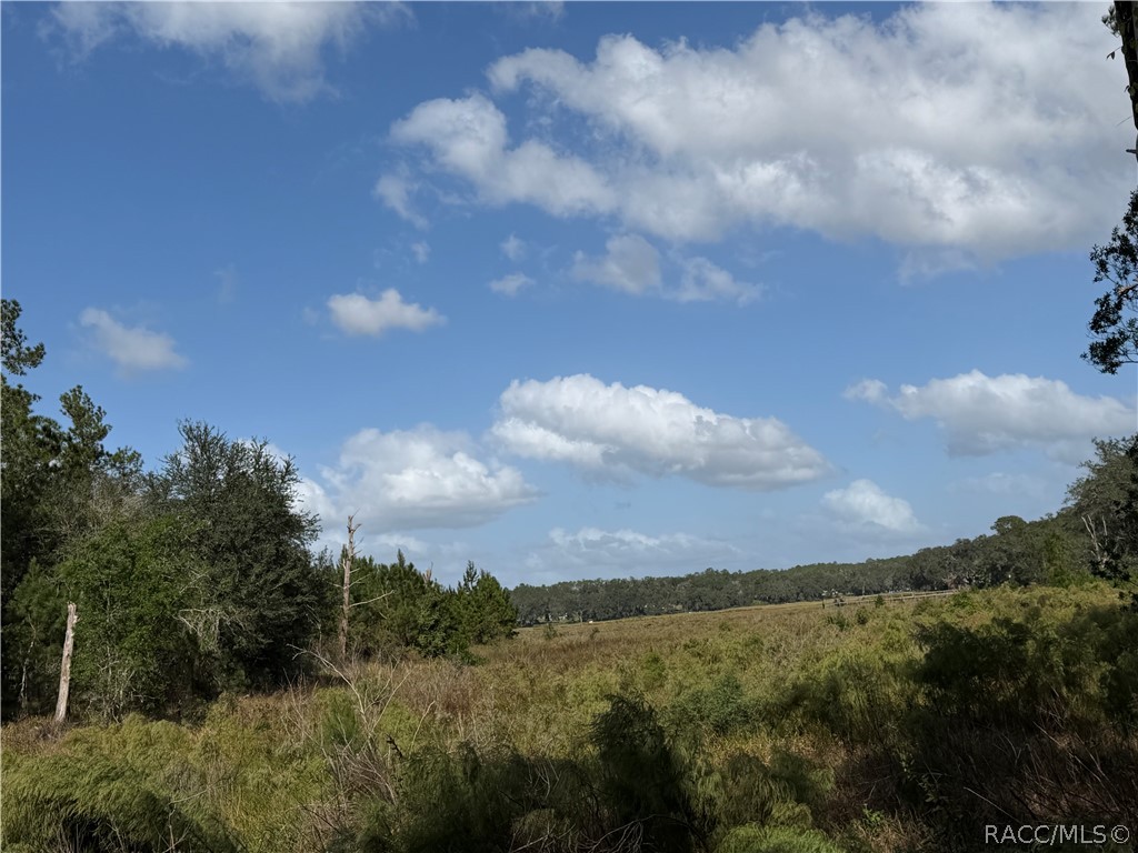 0 SW Shorewood Drive, Dunnellon, FL 34431