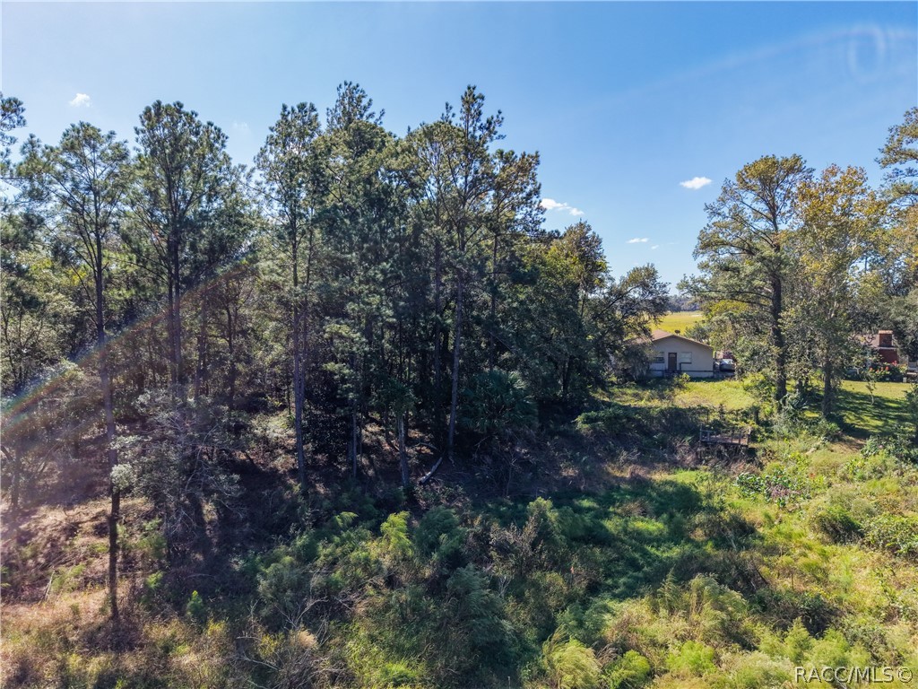 0 SW Shorewood Drive, Dunnellon, FL 34431