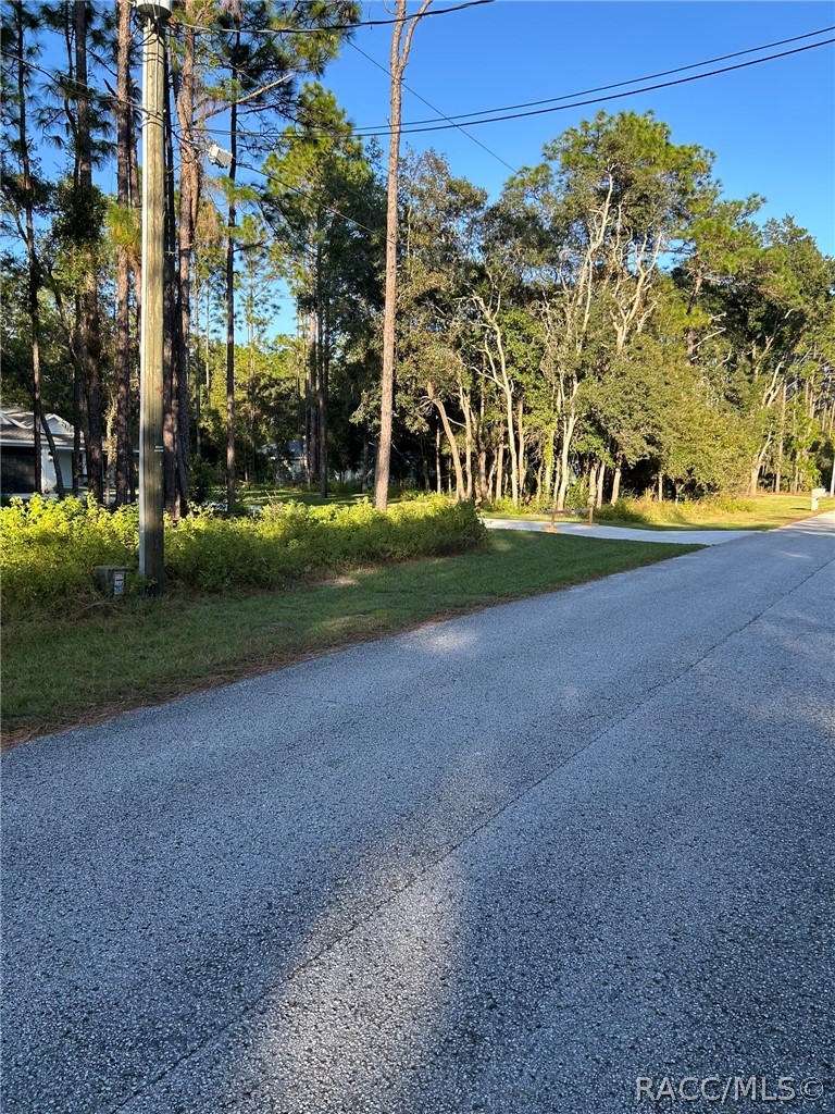 1721 W Pearson Street, Hernando, FL 34442