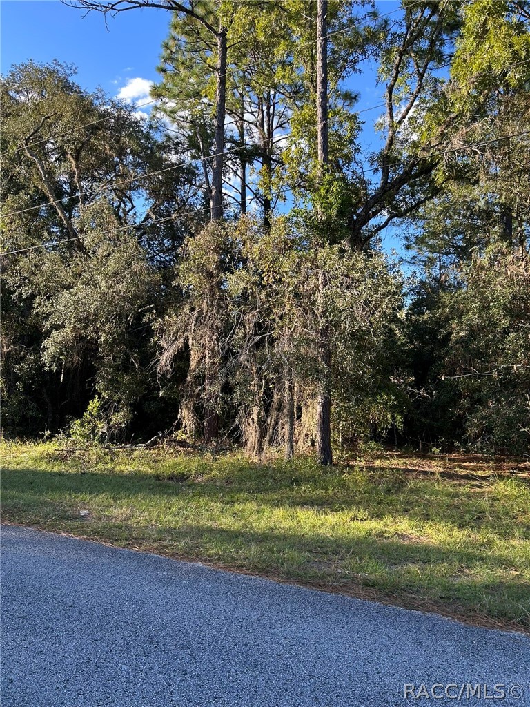 1721 W Pearson Street, Hernando, FL 34442