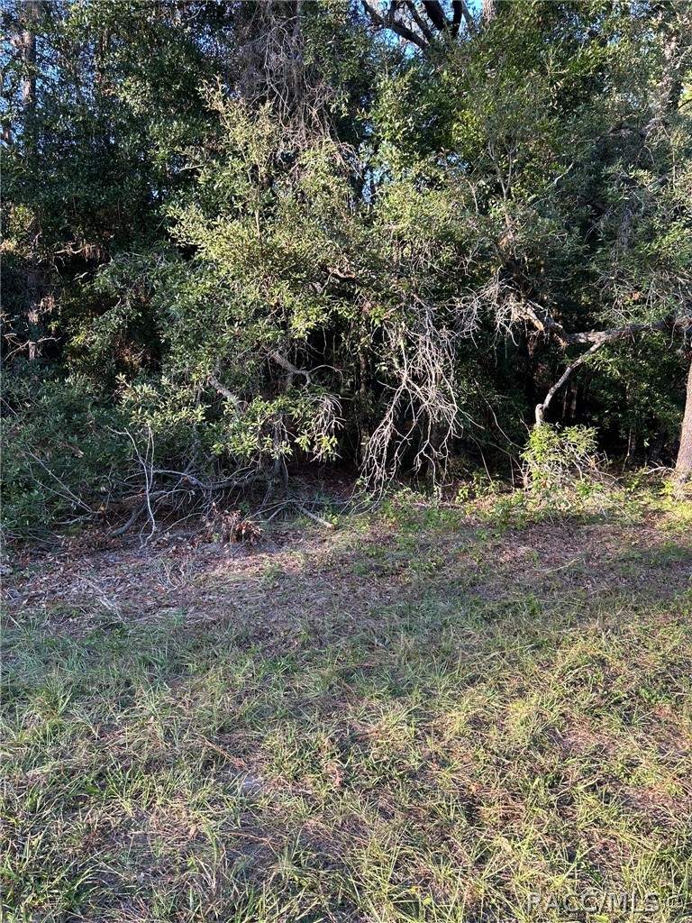 1721 W Pearson Street, Hernando, FL 34442