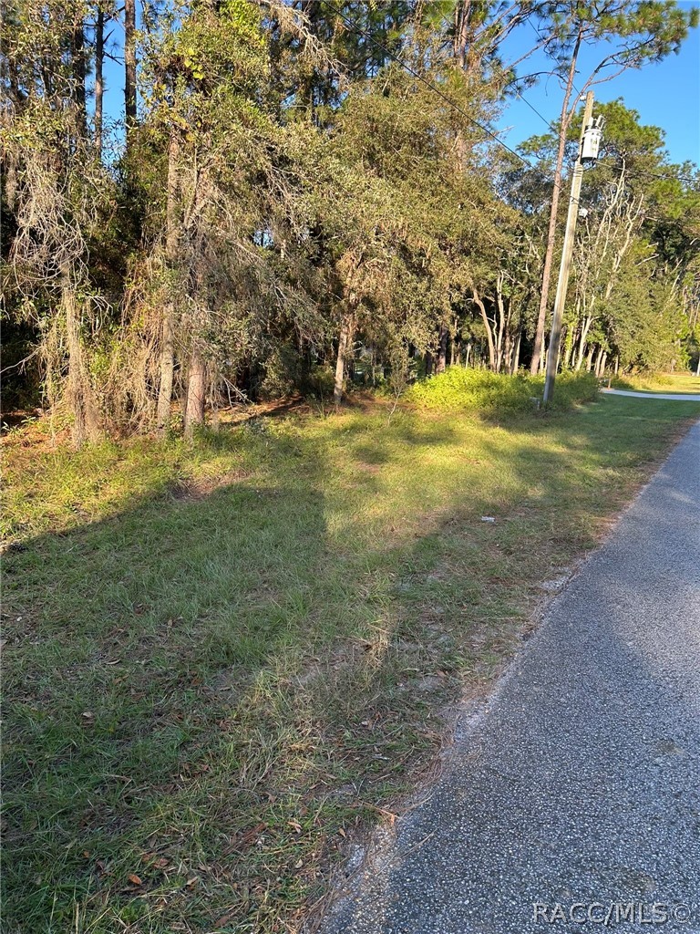 1721 W Pearson Street, Hernando, FL 34442