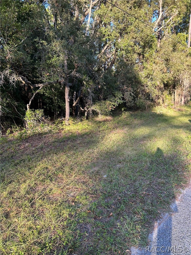 1721 W Pearson Street, Hernando, FL 34442