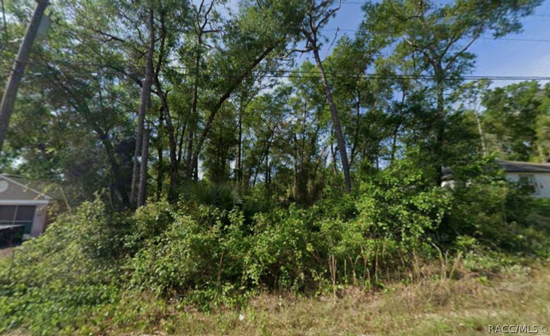 6490 E Willow Street, Inverness, FL 34452