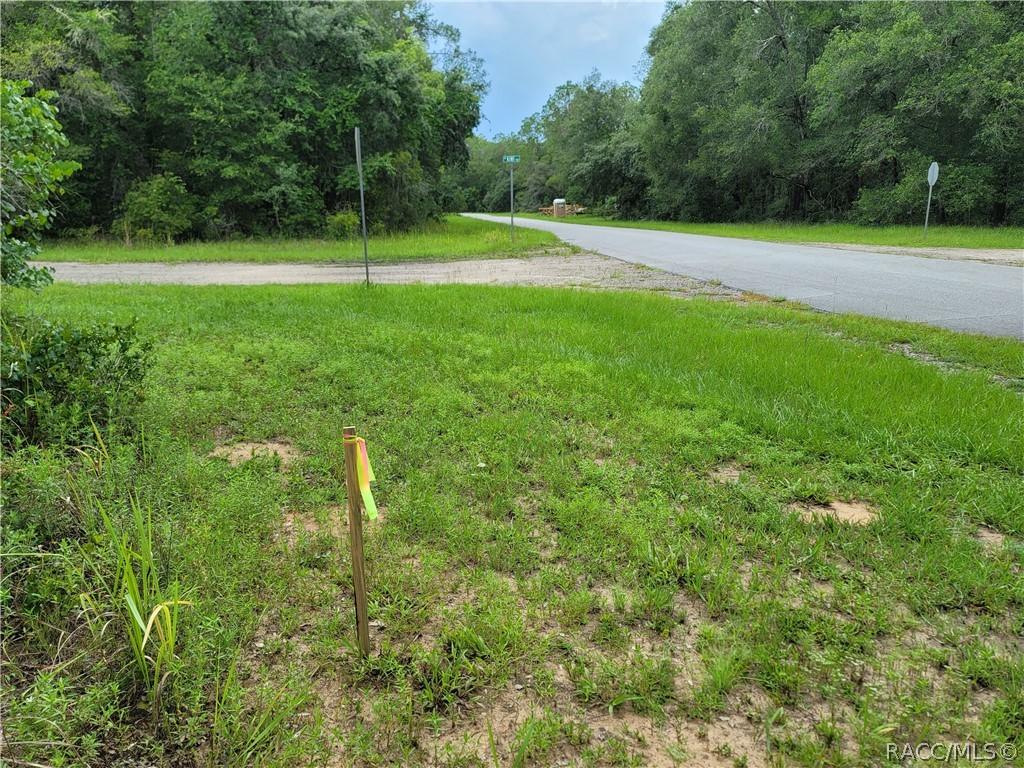28 W Lynx Drive, Citrus Springs, FL 34434 28 W Lynx Drive, Citrus Springs, FL 34434