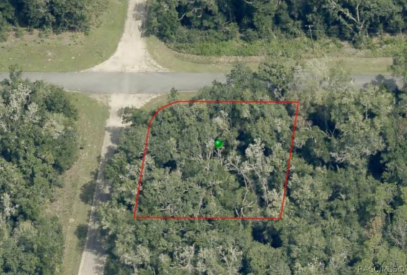 28 W Lynx Drive, Citrus Springs, FL 34434