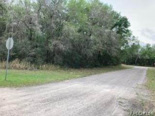 28 W Lynx Drive, Citrus Springs, FL 34434