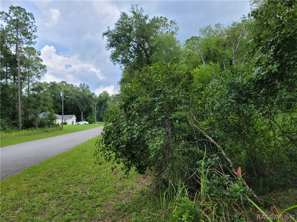 28 W Lynx Drive, Citrus Springs, FL 34434 28 W Lynx Drive, Citrus Springs, FL 34434