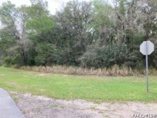 28 W Lynx Drive, Citrus Springs, FL 34434