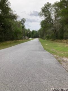 28 W Lynx Drive, Citrus Springs, FL 34434